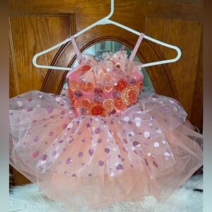 Sparkly Pink and Orange Dance Costume with Tutu
